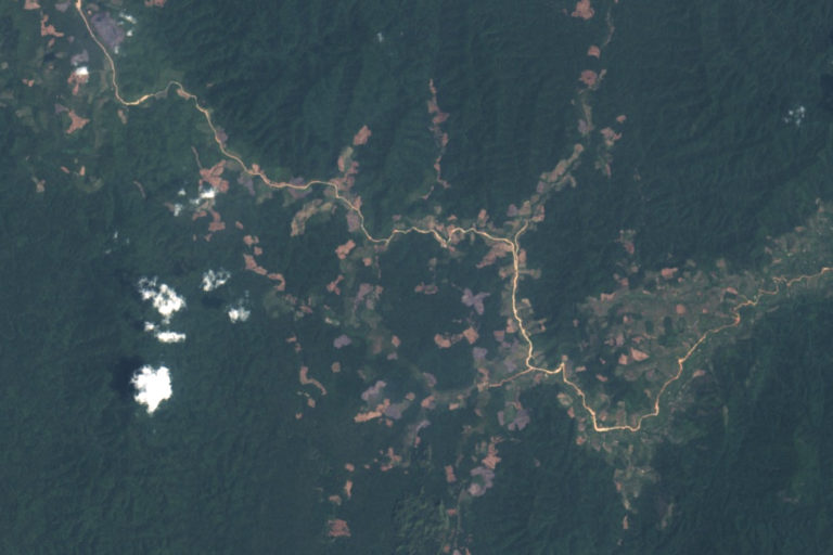 Deforestation surge threatens endangered species in Tanintharyi, Myanmar 1 Deforestation surge threatens endangered species in Tanintharyi, Myanmar