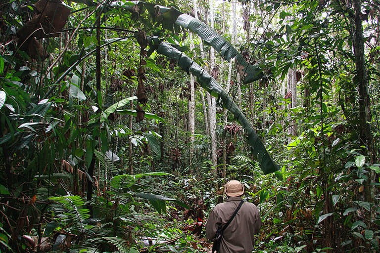 Jonathan, head of the indigenous park guard program for Kwamalasamutu, on patrol in the Amazon rainforest.