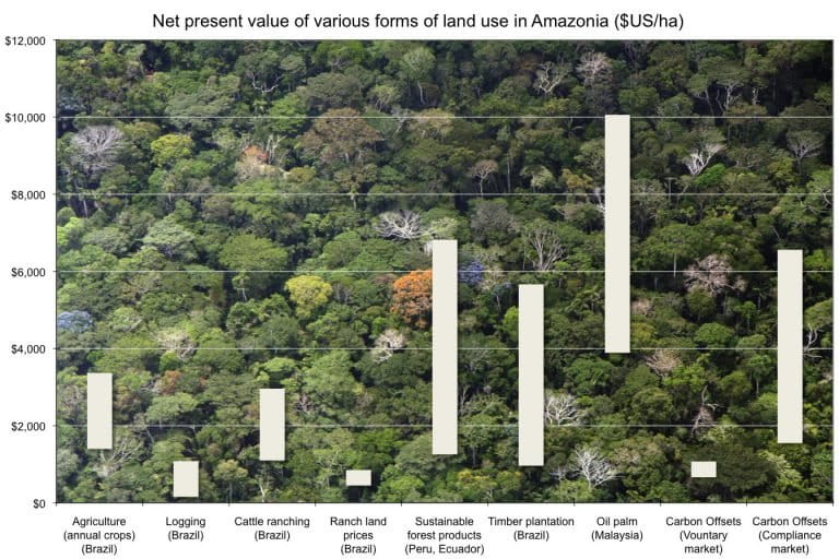 Net present value of different forms of land use in the tropics. Net present value ($US) – defined as the total present value of income generated from land use for a particular activity – for mechanized agriculture, logging, cattle ranching, ranch land prices, sustainable forest products, timber plantation, oil palm, carbon offsets in voluntary markets, and carbon offsets in potential compliance markets. Note: estimates were made using 2008 data, values of several of these commodities have since increased.