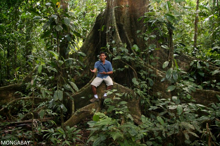 Indigenous communities in the Amazon have stewarded the region's forests and biodiversity for generations, yet until recently, then were often excluded from conservation initiatives.