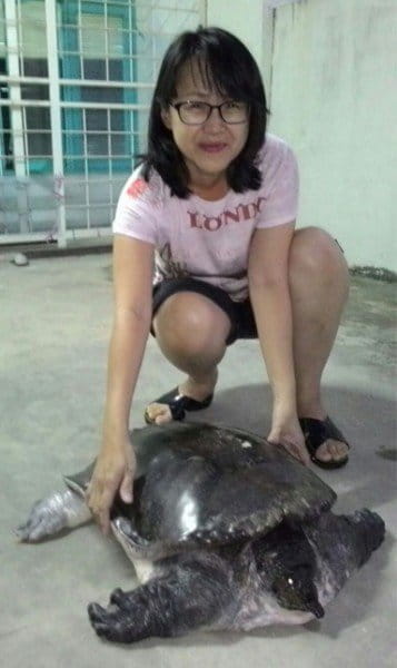 Serene Voo Nyuk Wei and the freshwater turtle that she rescued.