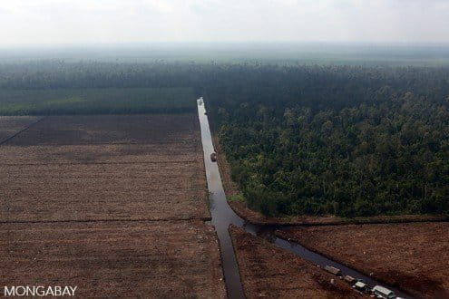 Pulp and paper plantation on peatland in Riau. Photo by Rhett A. Butler