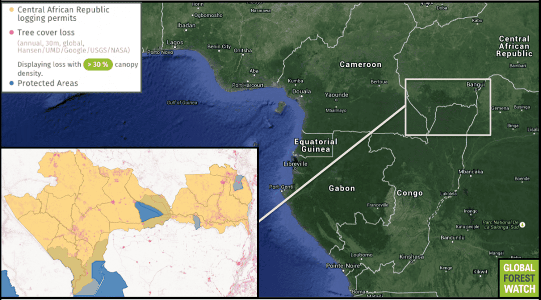 Global Forest Watch maps show the overlap of protected areas and logging concessions, where the harvest of timber is legal, in the Central African Republic. 