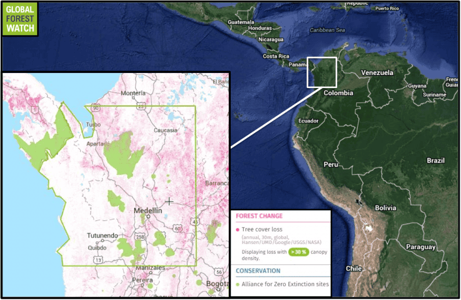 According to Global Forest Watch, the region encompassing the study site (outlined in green) lost nearly 4 percent -- 369,000 hectares -- of its tree cover to deforestation and plantation activity between 2001 and 2013. The area features many Alliance for Zero Extinction (AZE) sites, which indicate the ranges of endangered species with limited distributions and populations found nowhere else on the planet.