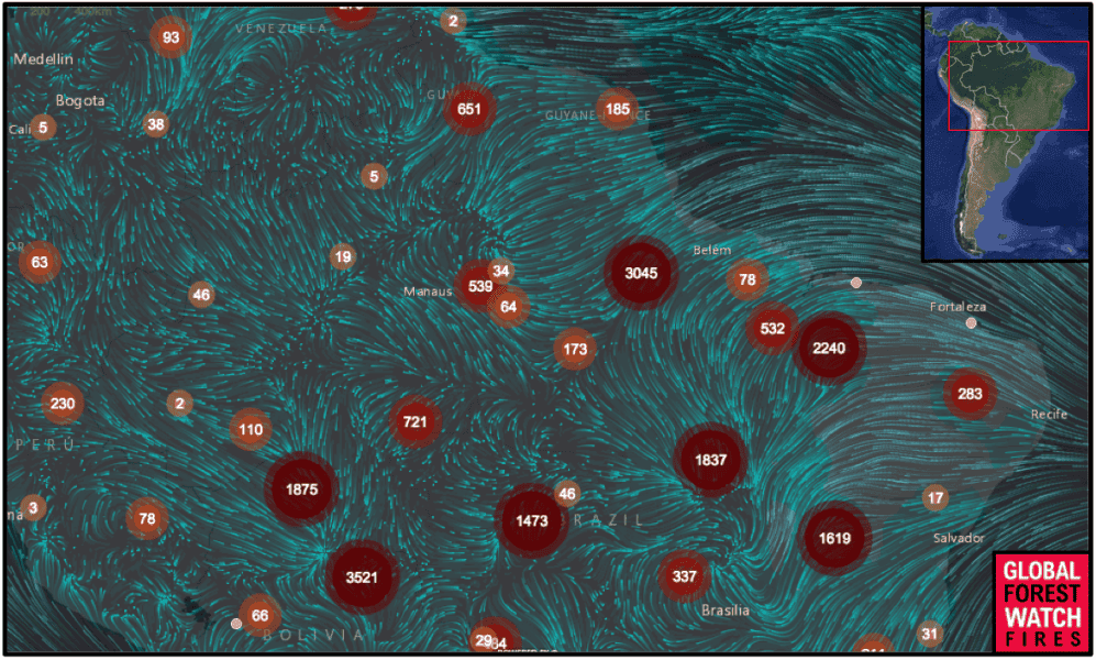 Burning still does persist in the Amazon. Global Forest Watch shows hundreds of fires in the past week alone. Although the study shows that communities closer to fires tended to experience the worst health effects, wind directions can blow particulates far from their fires of origin.