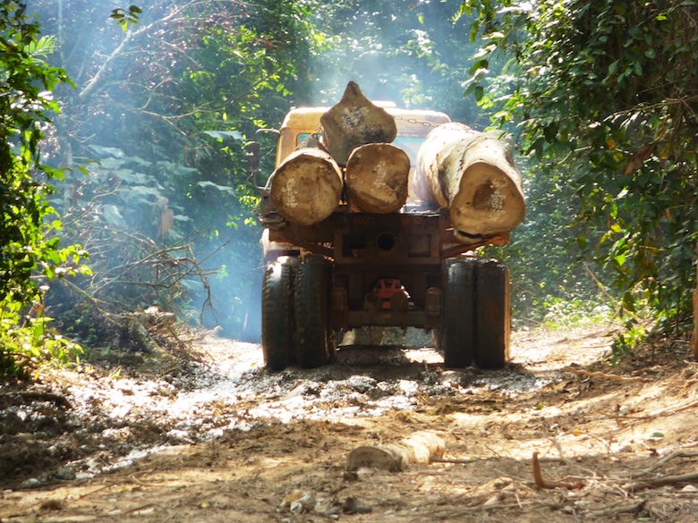 Logging truck exits a designated forest reserve in the Ashanti Region of Ghana, which is managed for sustainable timber production. Image courtesy of Nicole Arcilla.