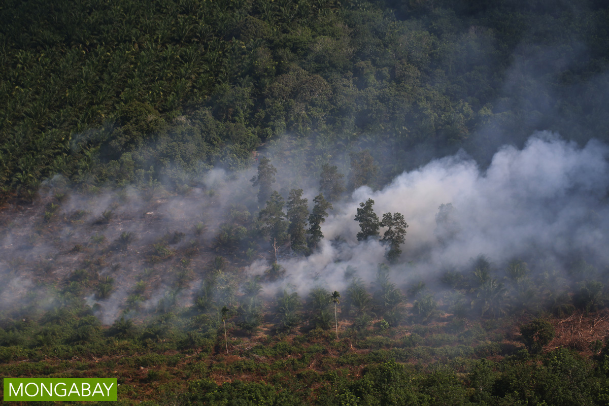 A peatland burns in Indonesia, spewing haze into the atmosphere. Photo by Rhett A. Butler