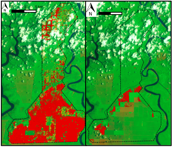 Satellite imagery from FOTO Malaysia show BLD has cleared more than 10,600 hectares of tree cover between 2001 and September 2015 (left). Of that, around 900 hectares were lost between June 30th and September 18th of this year (right).