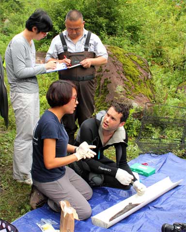 The largest survey in China’s conservation history is being undertaken by the Chinese Giant Salamander Project. Here, Ben Tapley and other team members work with a Chinese Giant Salamander in the field. Photo by Ben Tapley courtesy of ZSL