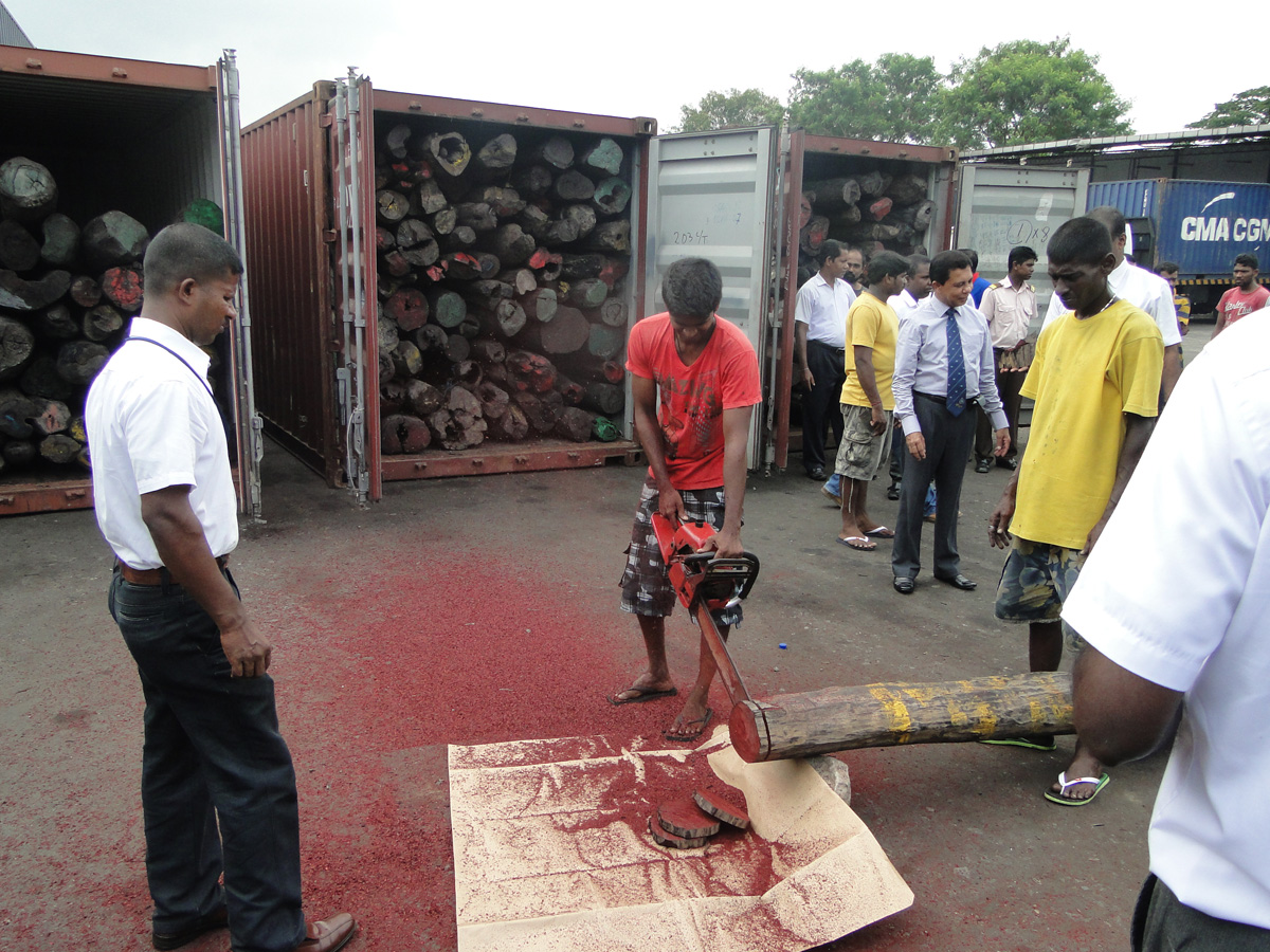 Rosewood seizure in Sri Lanka in 2014. Image courtesy of Sri Lanka Customs.