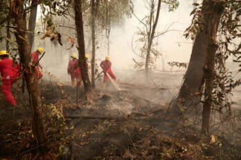 APP fire-fighting crew in action.