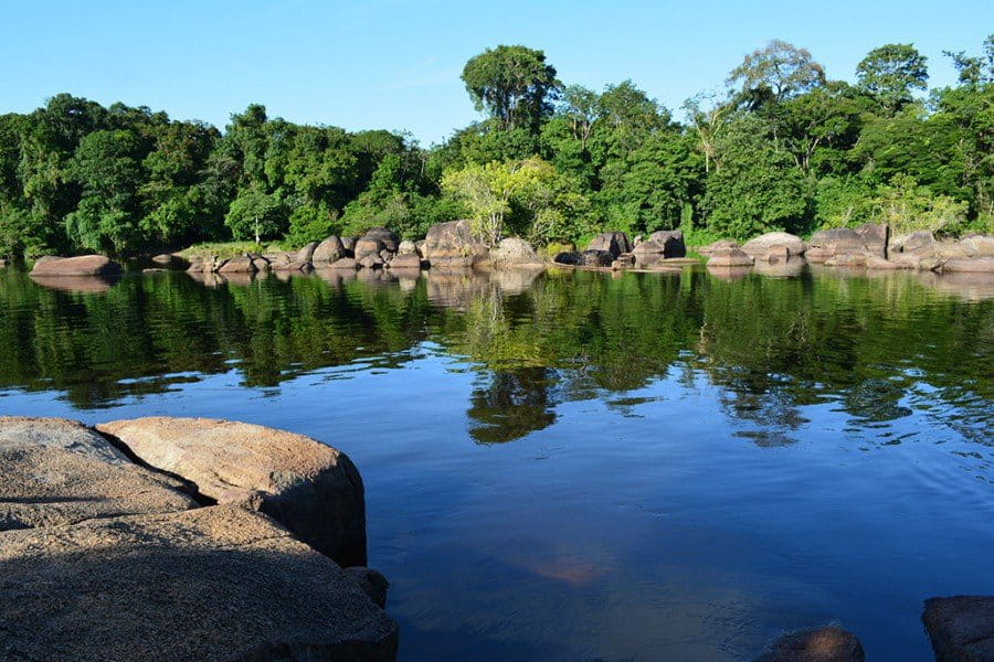 The Saramacca River. Photo courtesy of the ACT.