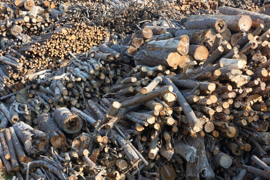 Timber await processing at Kronospan sawmill. Photo by Thomas Einberger/Greenpeace.