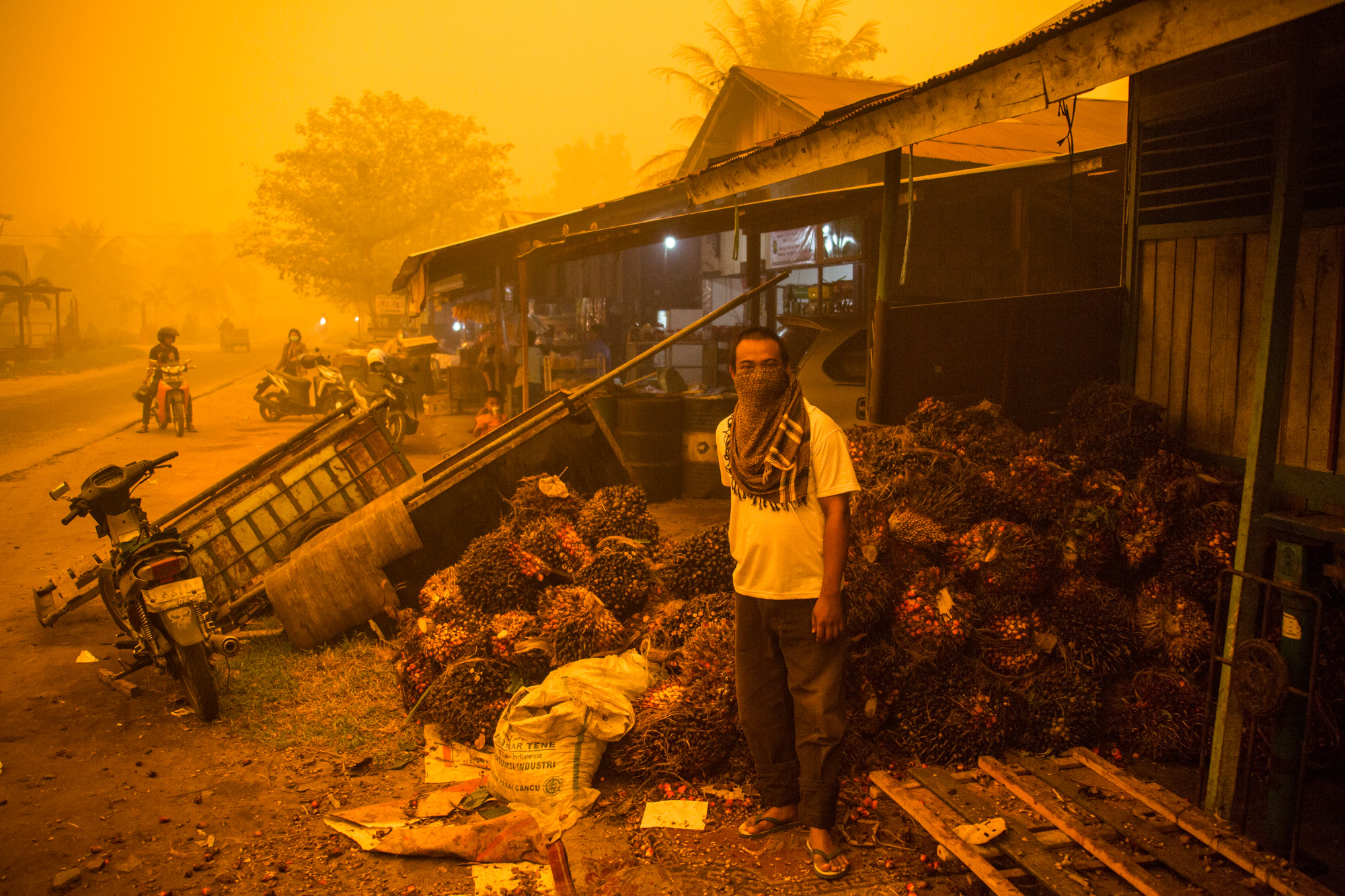 A Palangkaraya resident stands before a pile of palm oil fresh fruit bunches in at the height of last year's fire and haze crisis. The orange color is real. Photo by Bjorn Vaughn