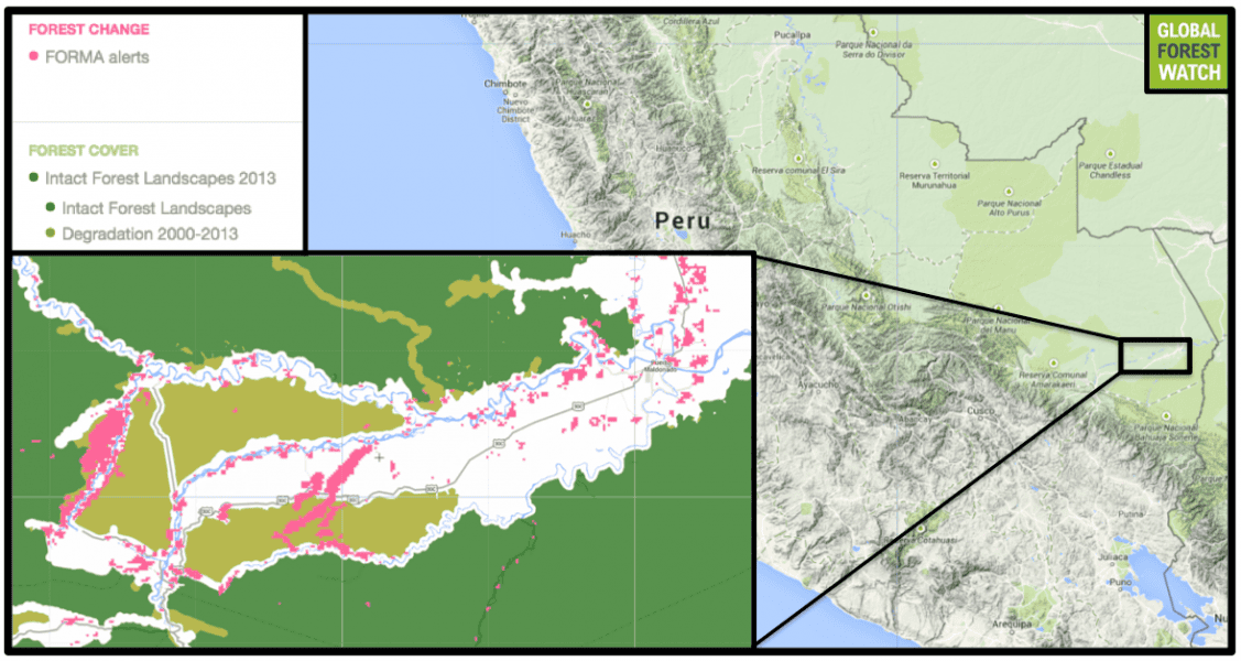 Mining is rampant along the upper reaches of the Madre de Dios River in southern Peru. According to Global Forest Watch, there have been more than 3,000 FORMA alerts in the region shown since 2006, with more than 57,000 hectares of tree cover lost from 2001 through 2012. Image courtesy of Global Forest Watch.