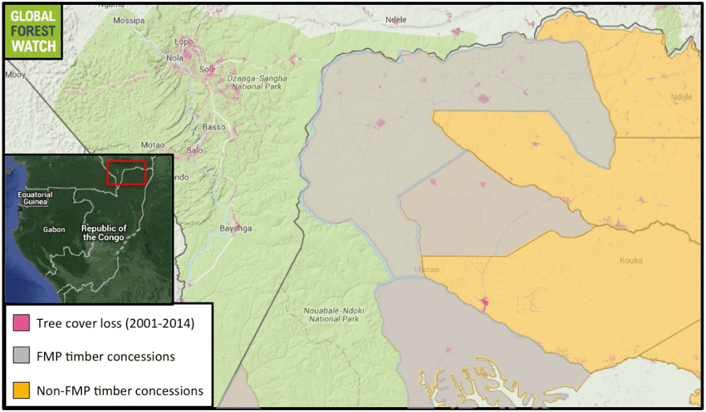 Congo's timber concessions operated under Forestry Management Plans (FMPs) are all located in the northern portion of the country. The authors of a recent study found that these concessions had a higher rate of deforestation after implementation of FMPs in the mid-2000s. Indeed, Global Forest Watch data indicate the FMP concessions shown here increased their average annual rate of forest loss more than 8 percent from 2001-2005 to 2006-2014. However, other researchers question the findings, saying sustainable forest management is nuanced and that these FMP concessions were actually more efficient at producing timber than concessions without. 