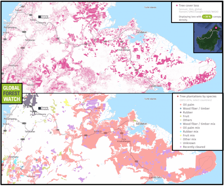 Global Forest Watch shows the Malaysian Borneo state of Sabah lost around 15 percent of its tree cover between 2001 and 2015, mostly from official plantation areas.