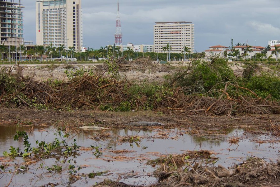 FOTO SALVEMOS MANGLAR TAJAMAR 03