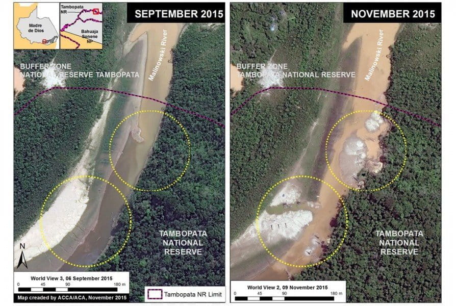 Satellite imagery showing the recent incursion of gold mining activity into Tambopata National Reserve. Image courtesy of MAAP.