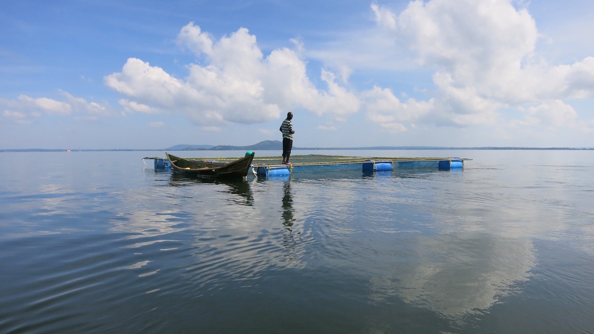 Water Floating Platform Floating House for Farming Fish Cage