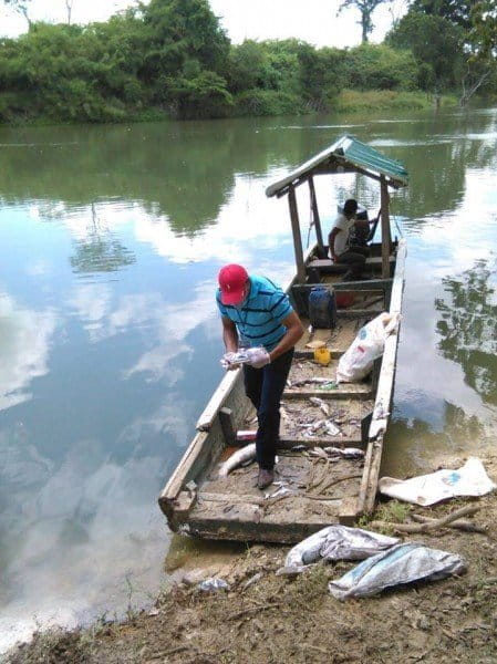 Pescadores recolectando peces muertos para tratar de averiguar qué sucedía. Foto cortesía de Evaristo Carmenate.