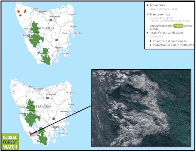 In just the past week, NASA satellites have detected 135 active fires in Tasmania. Previous fires have scorched vast tracts of forest, with Global Forest Watch showing that of Tasmania’s 70,000 hectares of tree cover loss in 2013 and 2014, 22,000 hectares were lost in one small portion of the island’s southwest – an area located within the Tasmanian Wilderness World Heritage Site. Nearly all of Tasmania’s Intact Forest Landscapes – large areas of primary forest – are located within this vast protected area. 