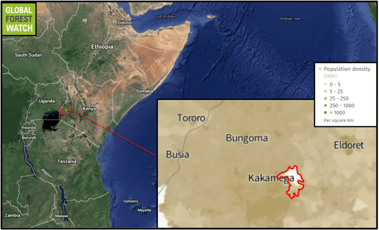 Kakamega Forest lies near Kenya's border with Uganda, in one of the most heavily populated rural areas in the country.