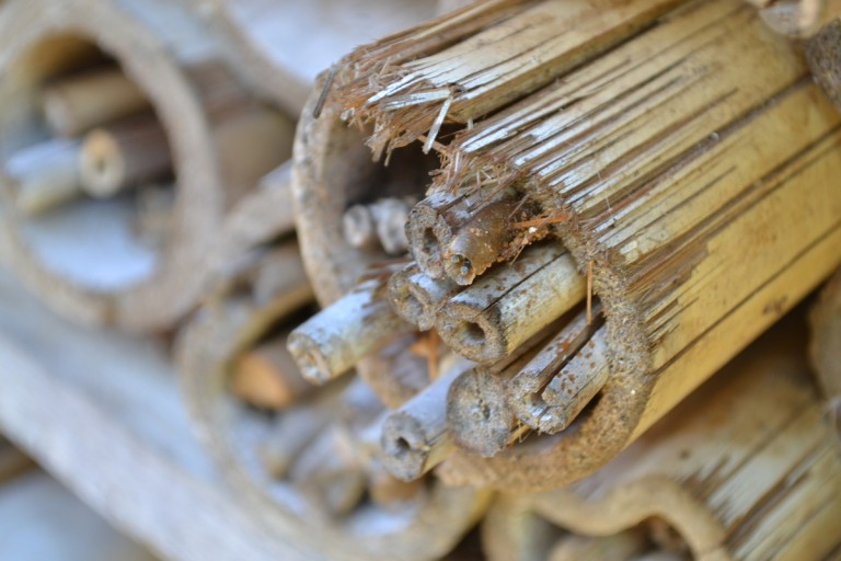 The communities raise tiny bees in specialized hives. Photo by Isaiah Esipisu.