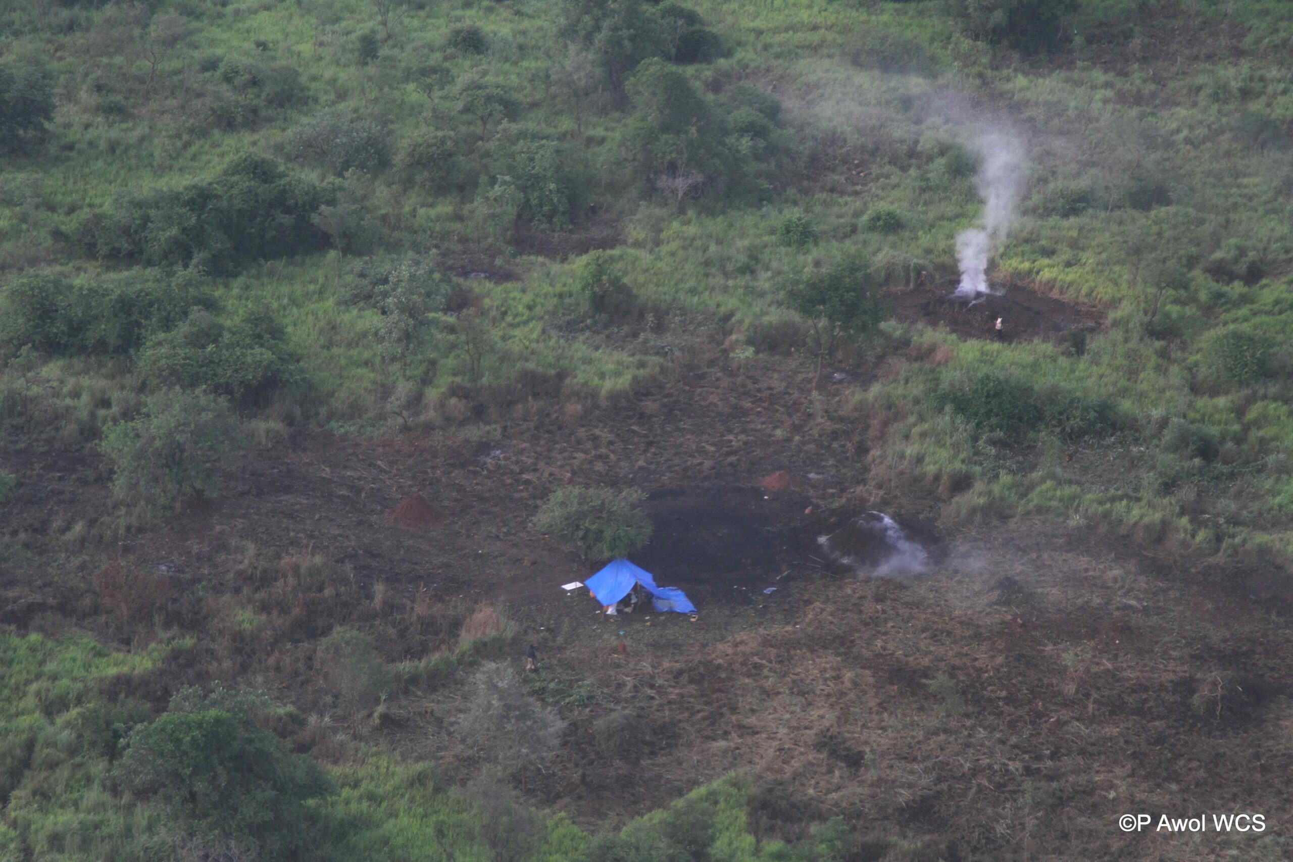Illegal charcoal production in Badingilo National Park, South Sudan 2015. Photo by P Elkan, WCS.