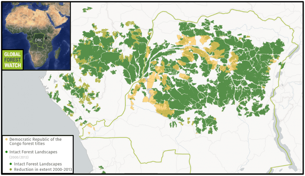 Industrial logging concessions already occupy huge swaths of DRC rainforest IFLs. Conservationists worry that ending the country's current moratorium on new industrial logging licenses could put the DRC's remaining primary forest at risk - and hurt efforts to stem global warming by keeping the DRCs forests in the ground.