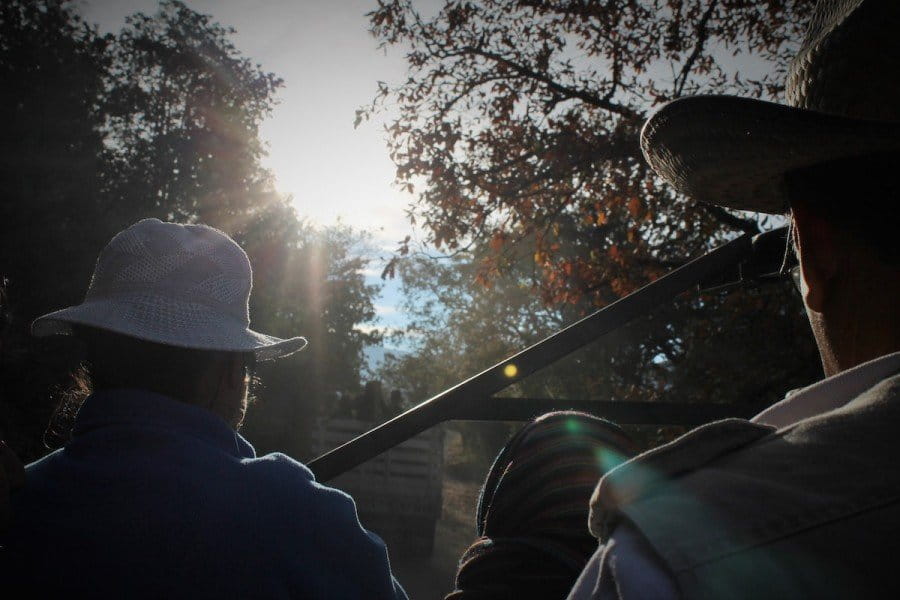 Women from Capulálpam head into the pine forest for a bird-watching workshop. Photo by Martha Pskowski.