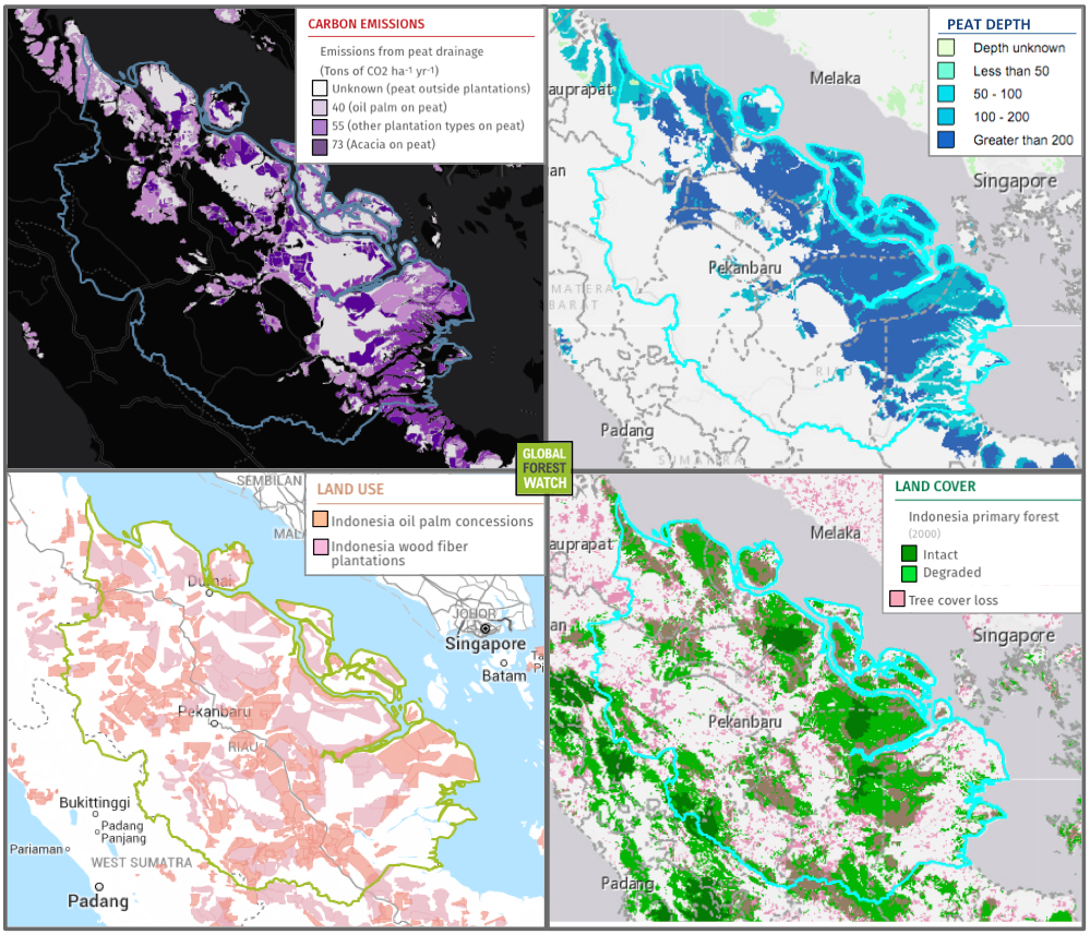 Much of the land area of Riau is taken up with wood fiber and palm oil concessions. It also has extensive, deep areas of peatland that still supported primary forest as of 2000. However, those forests are quickly disappearing. In just the five years between 2010 and 2014, data from Global Forest Watch show that the province lost 20 percent of its peat forest cover, and 24 percent of its primary forests.