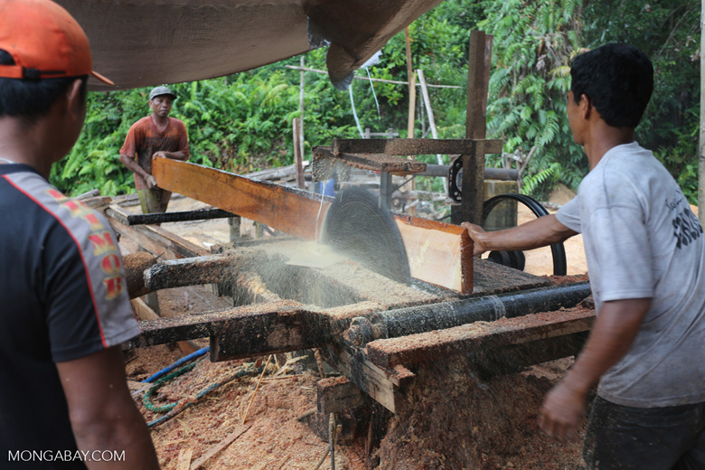 An illegal logging operation in the vicinity of a REDD+ pilot project in Indonesian Borneo. Photo by Rhett A. Butler. 