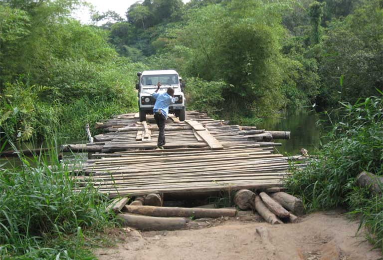 Just getting to the survey site can be a major challenge, as seen here in the Deomcratic Republic of the Congo. Photo courtesy of the A.P.E.S. Database.