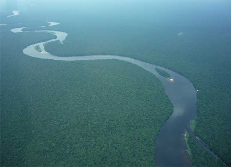 Rainforest in the Democratic Republic of the Congo. The extraordinary ruggedness of tropical terrain makes accurate population surveys difficult. Photo courtesy of A.P.E.S. database