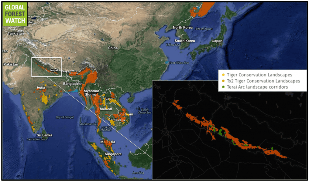 Spots of tiger habitat remain from western India south to Sumatra and north to Siberia. The Terai Arc landscape (inset) has one of the highest densities of wild tigers, with around 300 individuals as of 2013. More than half of Tiger Conservation Landscapes (TCLs) are listed as Tx2 TCLs, meaning they could double the wild tiger population by 2020.