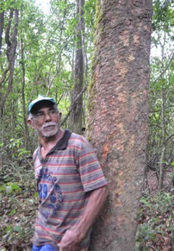 Zé Boi in the forest. Photo by Maurício Torres