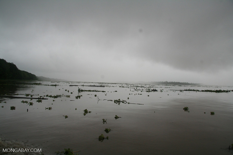 The Amazon River in flood. Photo by Rhett A. Butler/Mongabay