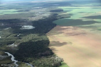 Riparian forest and soy. Photo by Rhett A. Butler