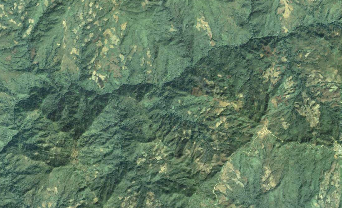 Pockmarks remain where forest has been felled in the last decade near Myanmar's border with China's western state of Yunnan. Image courtesy of Google Earth.