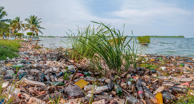 Lake Maracaibo's shore is covered in another form of petrochemical waste: plastic. Photo by The Photographer licensed under the Creative Commons Attribution-Share Alike 3.0 Unported license