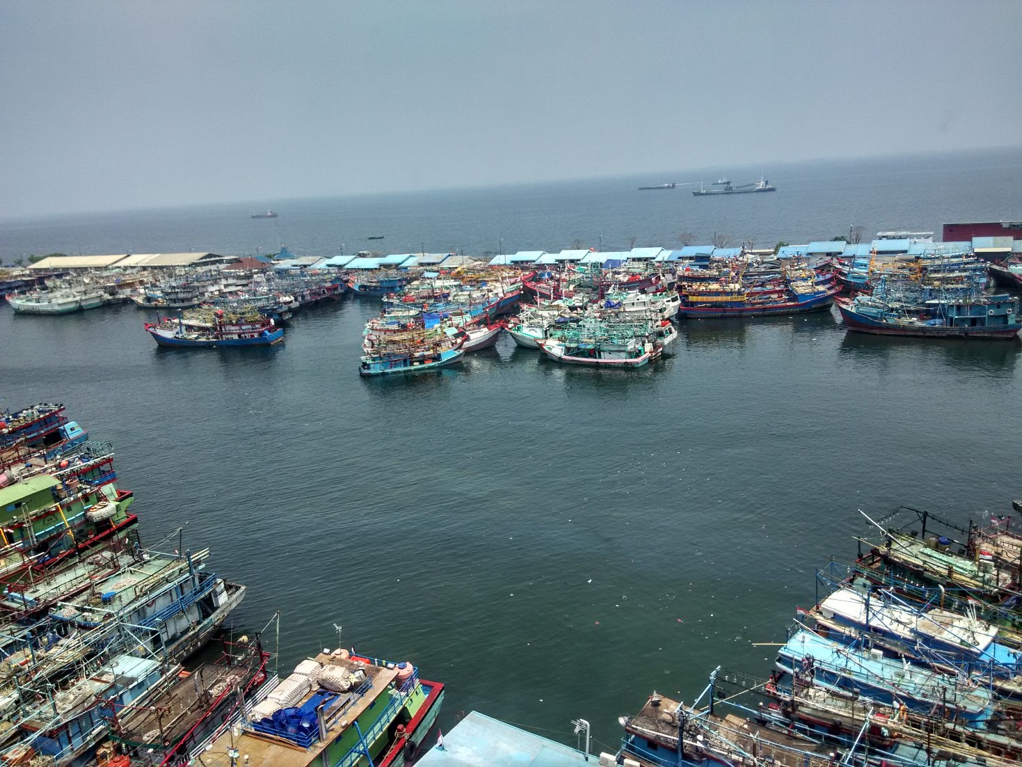 Dozens of grounded boats at Jakarta's Muara Baru port in January. Photo by M Ambari/Mongabay