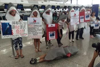 Protesters target Cathay Pacific at Hong Kong International Airport in May. Courtesy of WildAid