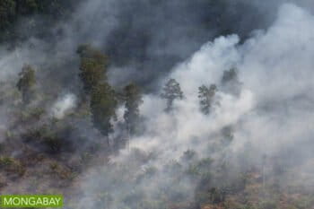 Fire set for peatland clearing in Riau Province, Indonesia in July 2015. Photo by Rhett A. Butler