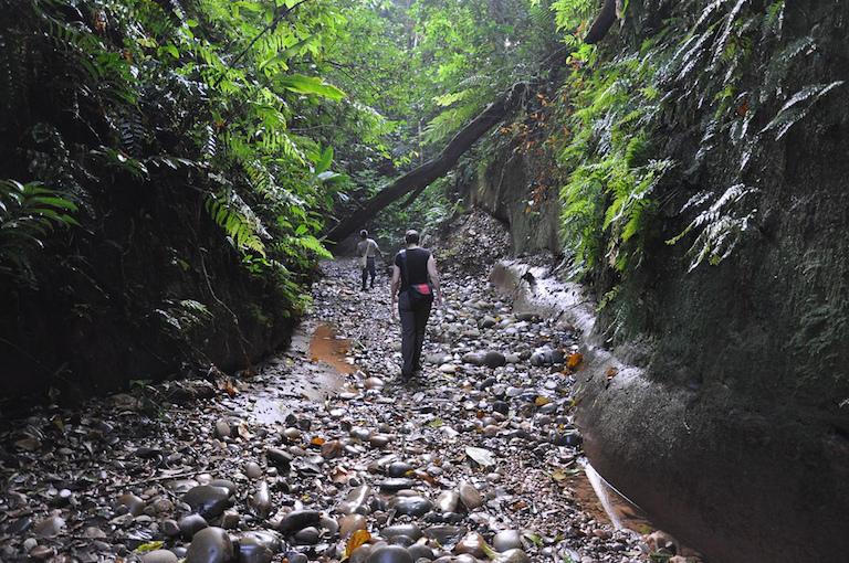 Tourists in Madidi National Park in Bolivia. Photo by Joe Lazarus/Flickr. 