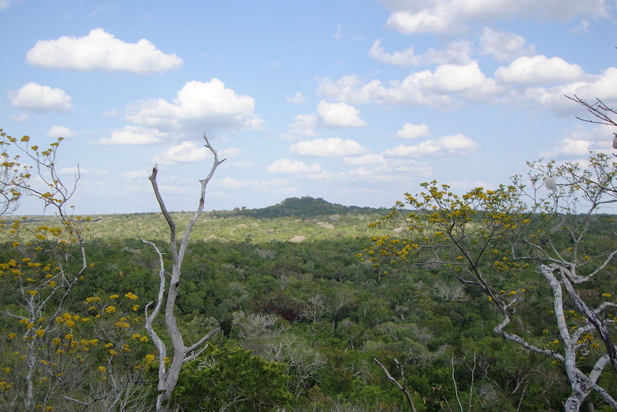 La Danta pyramid in the Mayan city of Mirador, as seen from a distance. Photo by Ronyrocael/Wikimedia Commons.