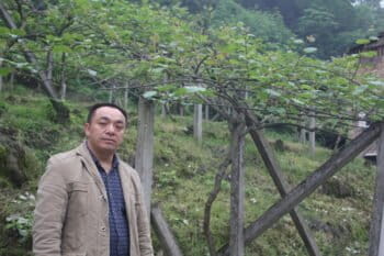 Zou Huagang, head of Lianhe village, poses in front of a local kiwi farm. Zou's family owns about three acres of kiwi farmland. Photo by Wang Yan.
