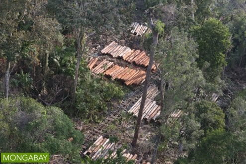 Timber being harvested in Riau Province. Photo by Rhett A Butler