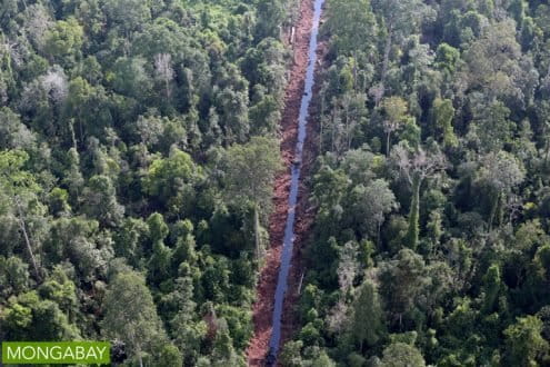 Drainage canal dug through peat swamp in Riau Province. Photo by Rhett A Butler