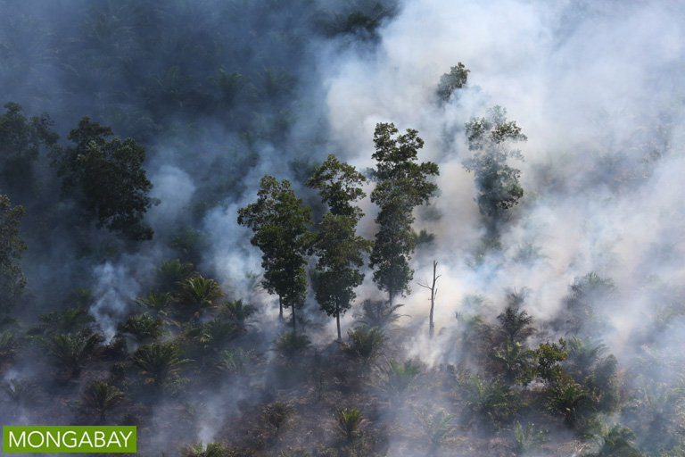 Haze in Riau Province. Photo by Rhett A Butler